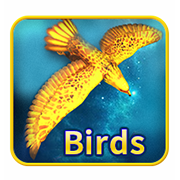 Bird king casino game