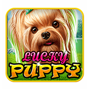 LuckyPuppy casino game