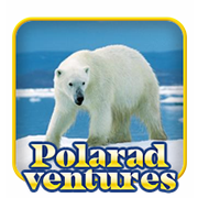 Polar Adventures casino game