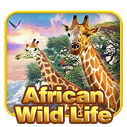 AfricanWildLife casino game